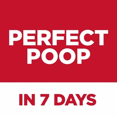 HILLS-SCIENCE-DIET-PRFCT-DIGST-SMBITS-CHCKN-DRY-DOG-FD-3LB