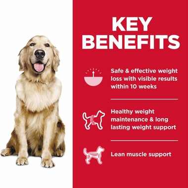 HILLS-SCIENCE-DIET-ADULT-PERFECT-WEIGHT-CHICKEN-DRY-DOG-FD-4LB