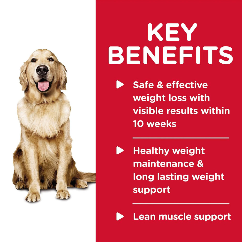 HILLS-SCIENCE-DIET-ADULT-PERFCT-WGHT-VEGTBL-CHICKN-STEW-WET-DOG-FD-12X12