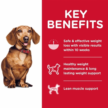 HILLS-SCIENCE-DIET-ADULT-PERFECT-WEIGHT-SM-MINI-CHICKEN-DRY-DOG-FD-12LB