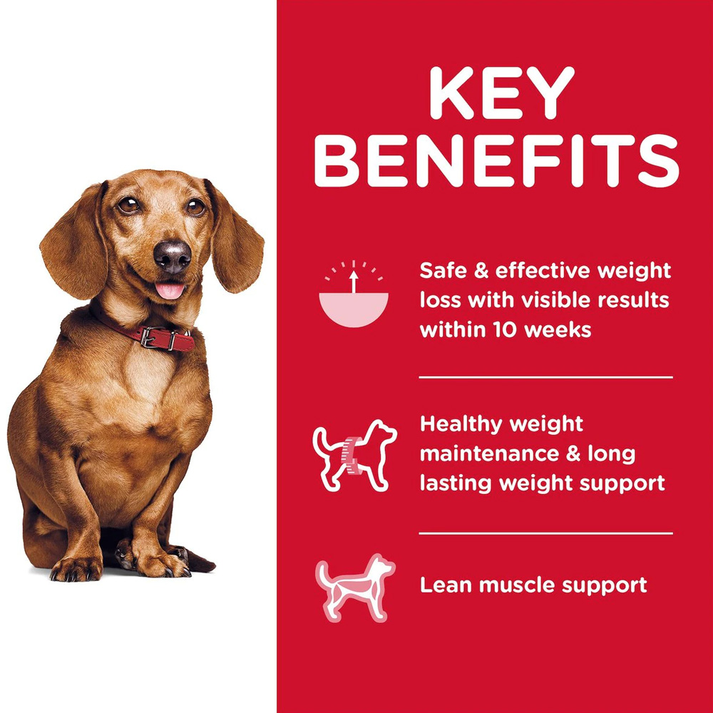 HILLS-SCIENCE-DIET-ADULT-PERFECT-WEIGHT-SM-MINI-CHICKEN-DRY-DOG-FD-12LB