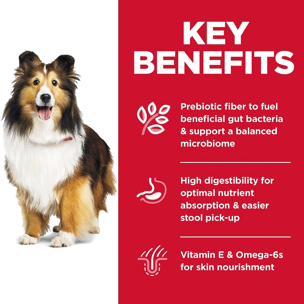 HILLS-SCIENCE-DIET-ADLT-SNSITVE-STMCH-SKIN-CHCKN-DRY-DOG-FD-4LB