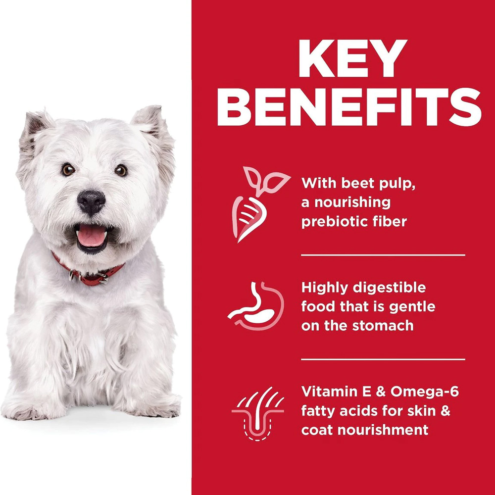 HILLS-SCIENCE-DIET-ADLT-SNSITVE-STMCH-SKIN-SM-BITES-DRY-DOG-FD-4LB