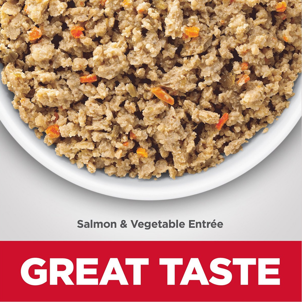HILLS-SCIENCE-DIET-ADLT-SENSTVE-STOMCH-SALMON-VEG-CANDOG-FD-12OZX12