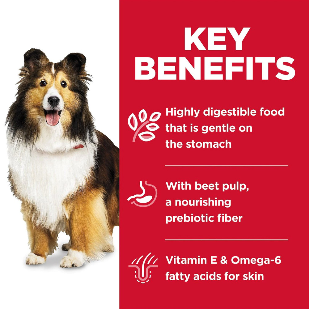 HILLS-SCIENCE-DIET-ADLT-SENSTVE-STOMCH-SALMON-VEG-CANDOG-FD-12OZX12