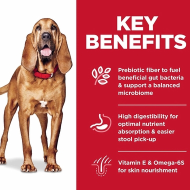 HILLS-SCIENCE-DIET-ADLT-SNSITVE-STMCH-SKIN-LG-BRD-CHCKN-BRLEY-DRY-DOG-FD-30LB
