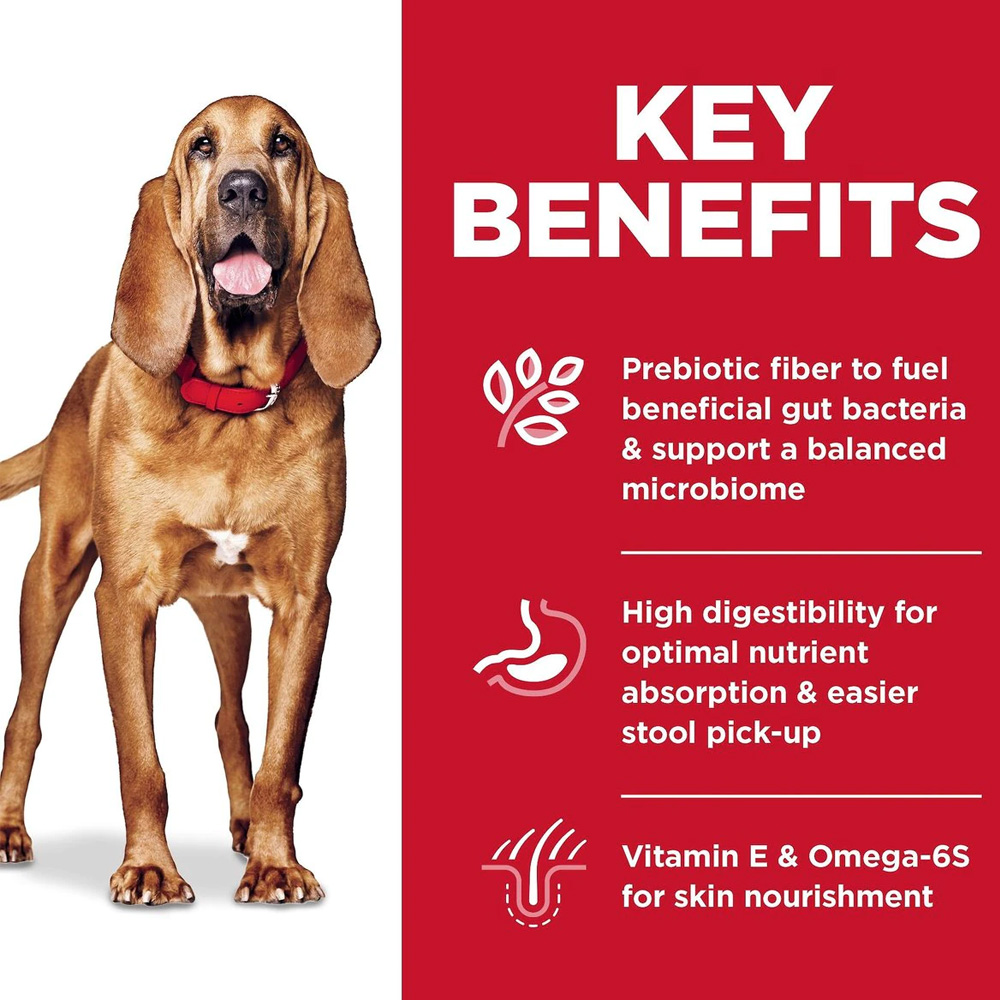 HILLS-SCIENCE-DIET-ADLT-SNSITVE-STMCH-SKIN-LG-BRD-CHCKN-BRLEY-DRY-DOG-FD-30LB