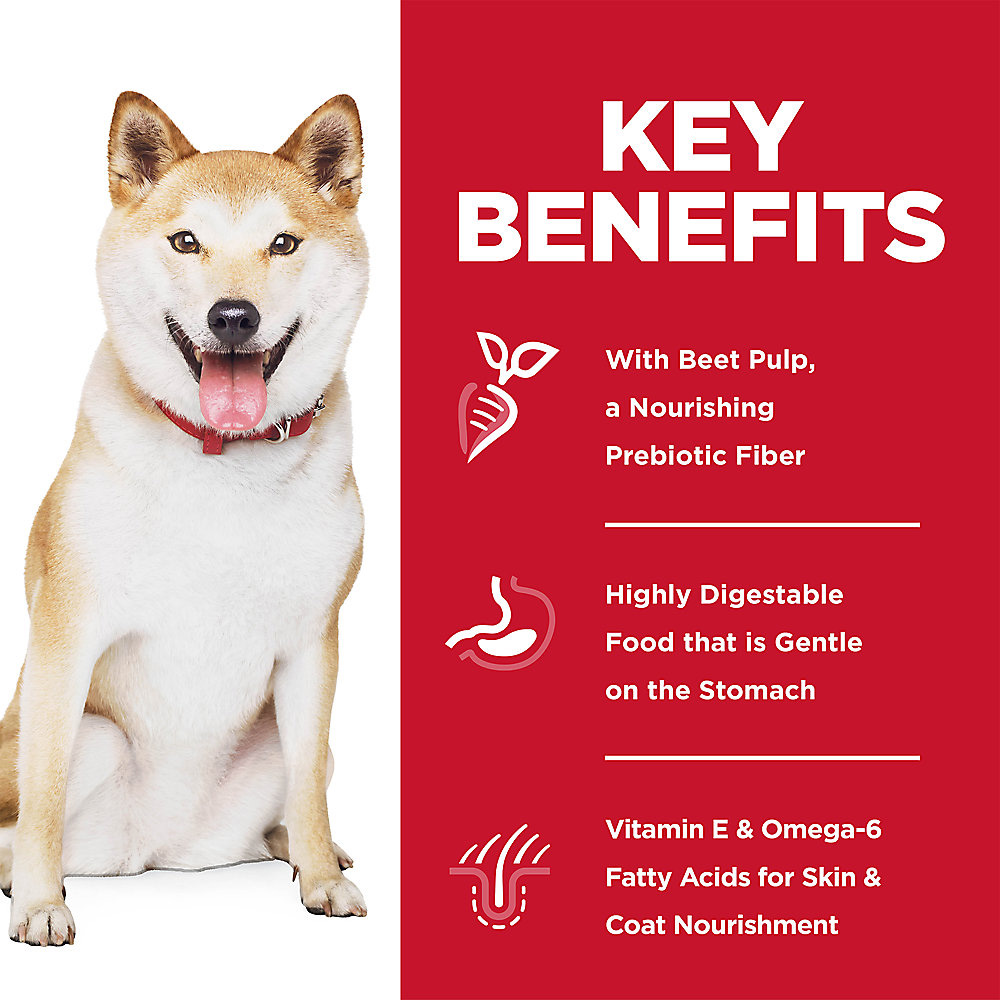 HILLS-SCIENCE-DIET-ADLT-SNSITVE-STMCH-SKIN-POLLCK-BRLEY-DRY-DOG-FD-12LB