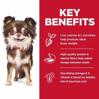 HILLS-SCIENCE-DIET-ADLT-SNSITVE-STMCH-SKIN-SM-MINI-BRD-CHCKN-DRY-DOG-FD-4LB