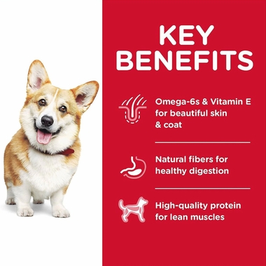 HILLS-SCIENCE-DIET-ADULT-SMBITES-CHICKEN-BARLEY-DRY-DOG-FD-15LB