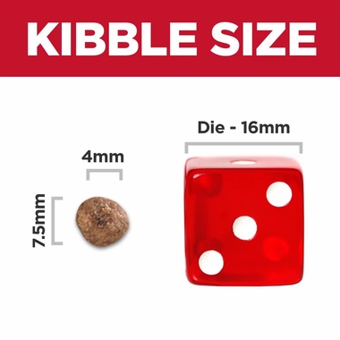 HILLS-SCIENCE-DIET-ADULT-SMALL-MINI-LAMB-RICE-DRY-DG-FD-15LB