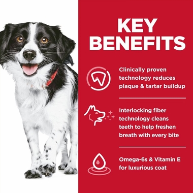 HILLS-SCIENCE-DIET-ORAL-CARE-SM-MINI-CHICKEN-ADULT-DRY-DOG-FD-4LB