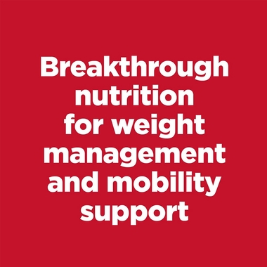 HILLS-SCIENCE-DIET-PERFECT-WEIGHT-JOINT-SUPPORT-CHICKEN-ADULT-DRY-DOG-FD-12LB