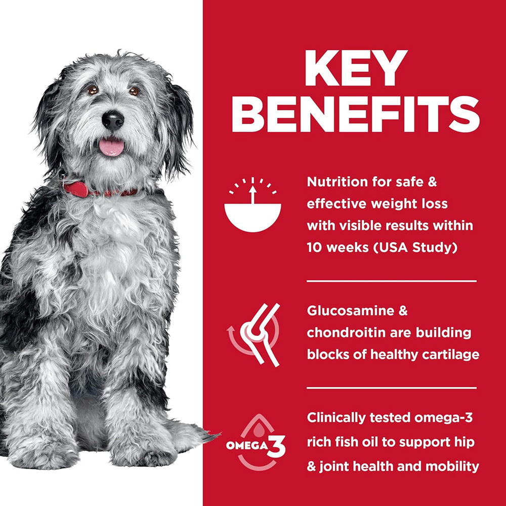 HILLS-SCIENCE-DIET-PERFECT-WEIGHT-JOINT-SUPPORT-CHICKEN-ADULT-DRY-DOG-FD-25LB