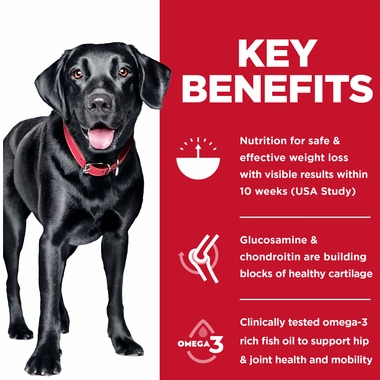 HILLS-SCIENCE-DIET-JOINT-SUPPRT-CHICKEN-LG-ADULT-DRY-DOG-FD-25LB