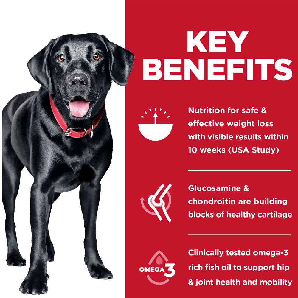 HILLS-SCIENCE-DIET-JOINT-SUPPRT-CHICKEN-LG-ADULT-DRY-DOG-FD-25LB