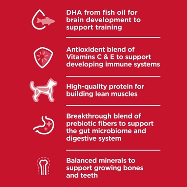 HILLS-SCIENCE-DIET-PPPY-CHCKN-BRLEY-CAN-DOG-FD-13OZX12