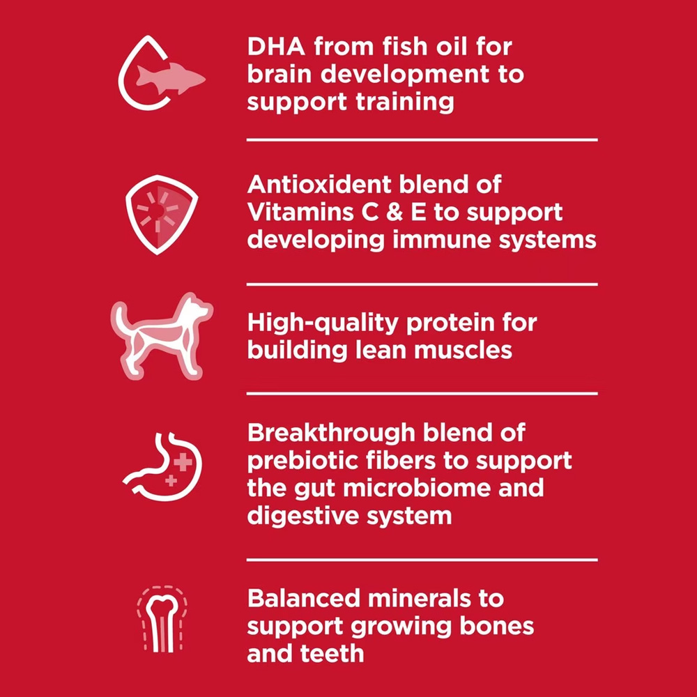 HILLS-SCIENCE-DIET-PPPY-CHCKN-BRLEY-CAN-DOG-FD-13OZX12