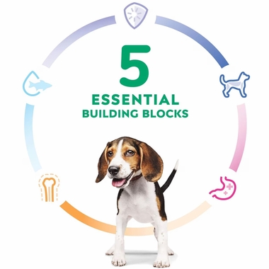 HILLS-SCIENCE-DIET-PPPY-CHCKN-BRLEY-CAN-DOG-FD-13OZX12