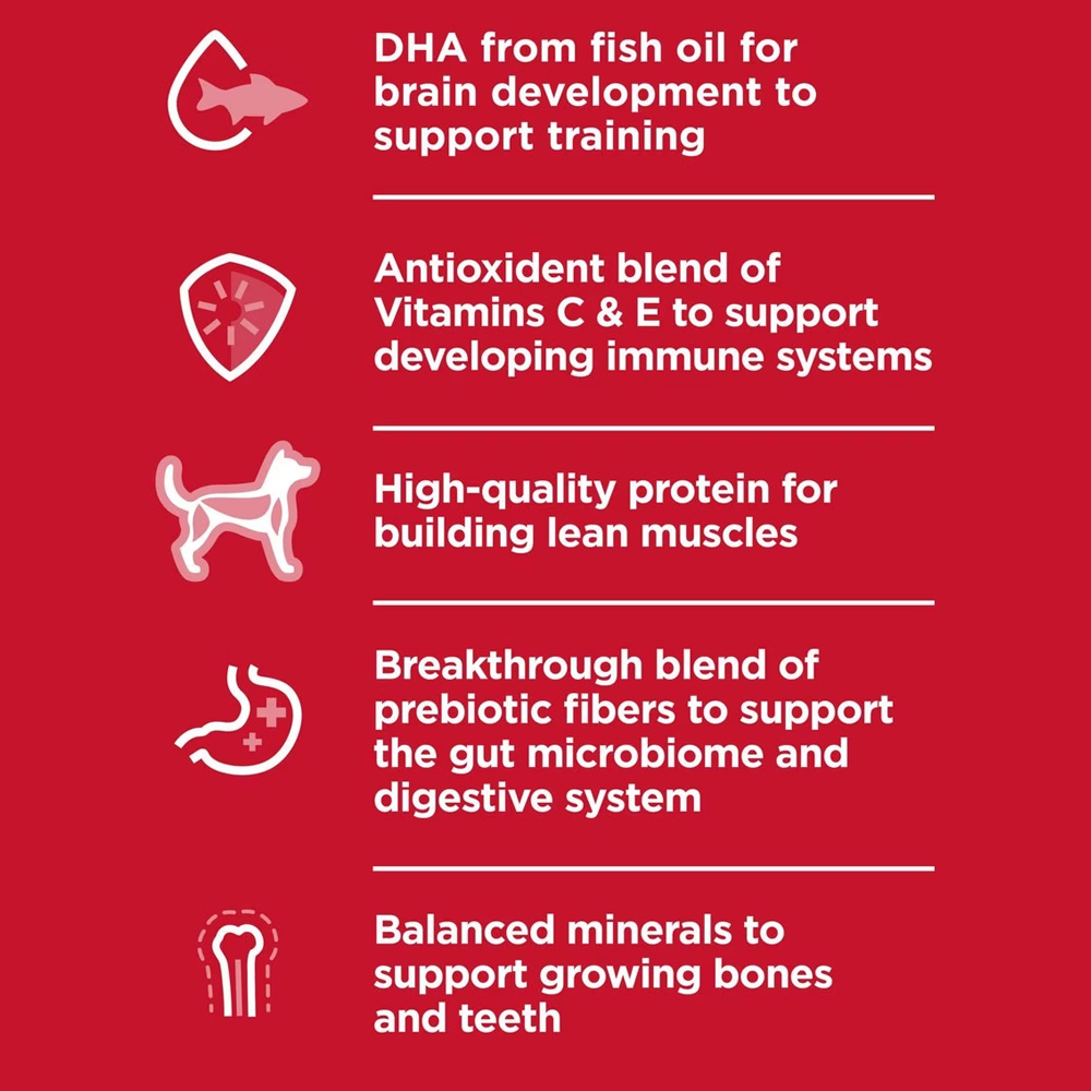 HILLS-SCIENCE-DIET-PUPPY-CHICKEN-BROWN-RICE-DRY-DOG-FD-27LB