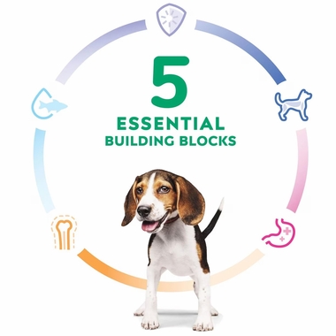 HILLS-SCIENCE-DIET-PUPPY-CHICKEN-BROWN-RICE-DRY-DOG-FD-4LB