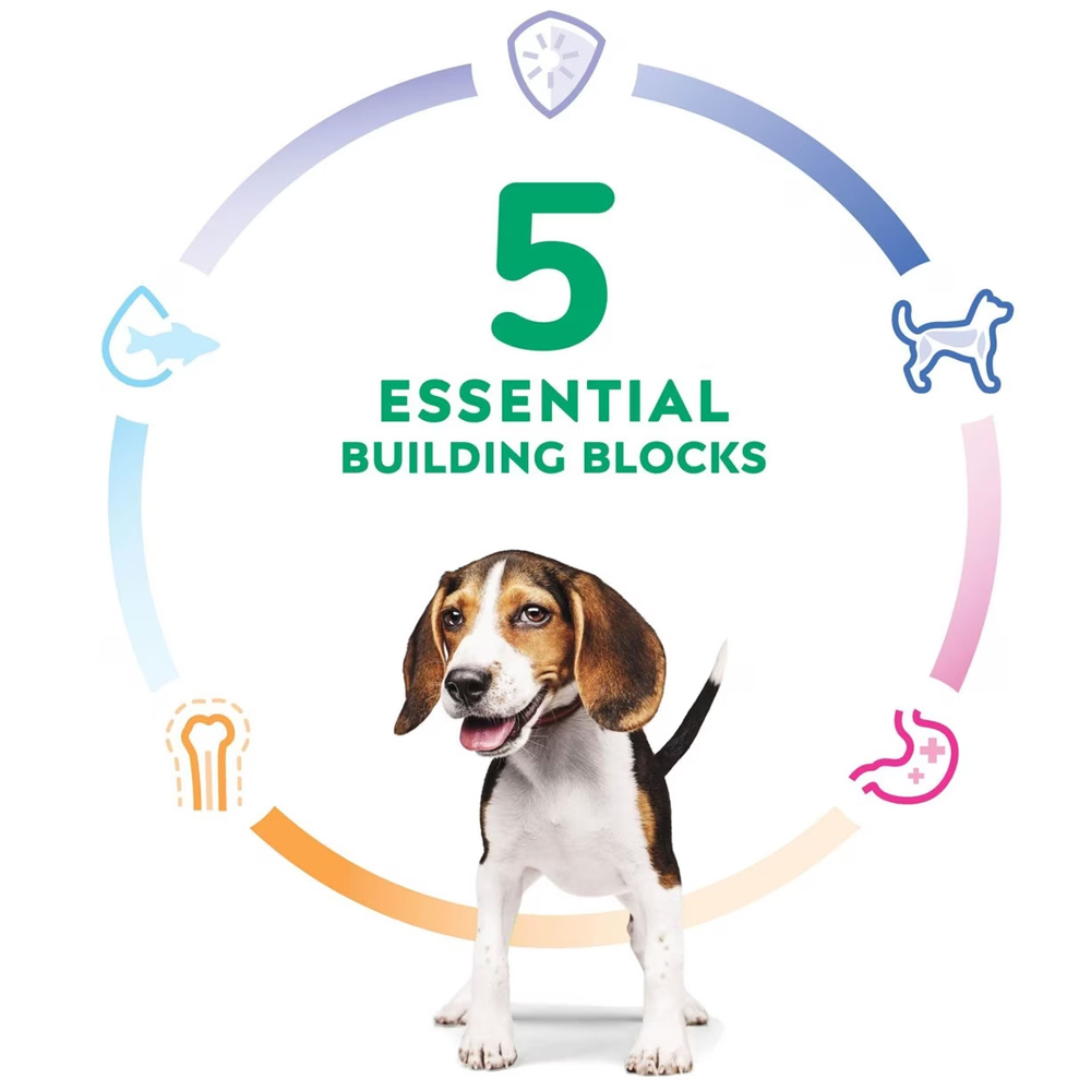 HILLS-SCIENCE-DIET-PUPPY-CHICKEN-BROWN-RICE-DRY-DOG-FD-4LB