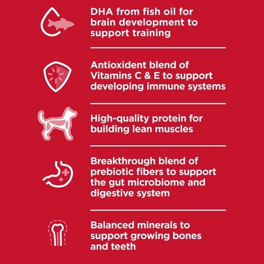 HILLS-SCIENCE-DIET-PUPPY-CHICKEN-BROWN-RICE-DRY-DOG-FD-4LB