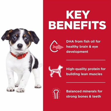 HILLS-SCIENCE-DIET-PUPPY-CHICKEN-BROWN-RICE-DRY-DG-FD-4LB