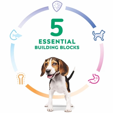 HILLS-SCIENCE-DIET-PUPPY-LAMB-MEAL-BROWN-RICE-DRY-DOG-FD-25LB