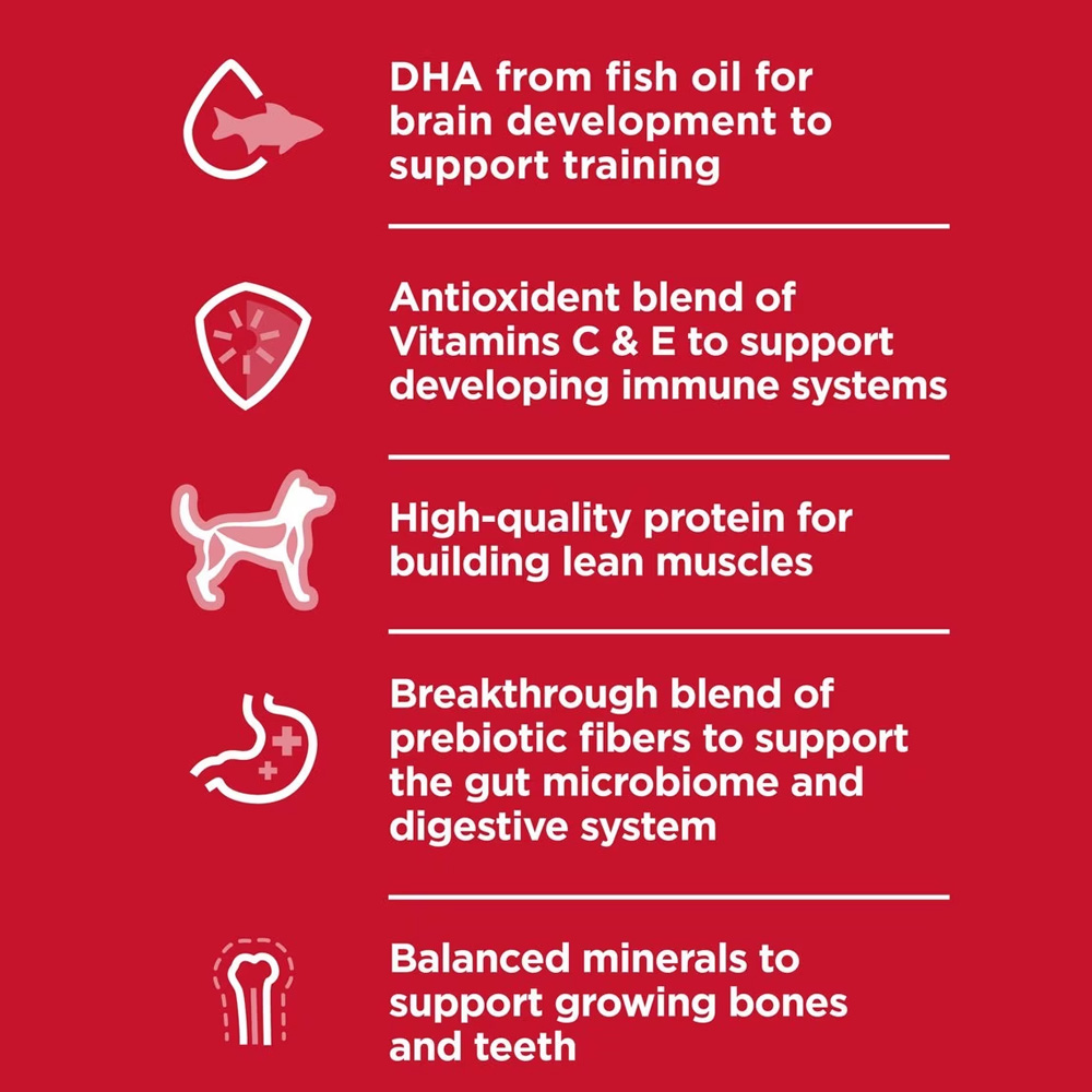 HILLS-SCIENCE-DIET-PUPPY-LAMB-MEAL-BROWN-RICE-DRY-DOG-FD-25LB