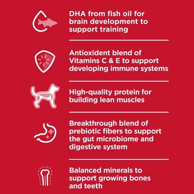 HILLS-SCIENCE-DIET-PUPPY-LAMB-MEAL-BROWN-RICE-DRY-DOG-FD-4LB