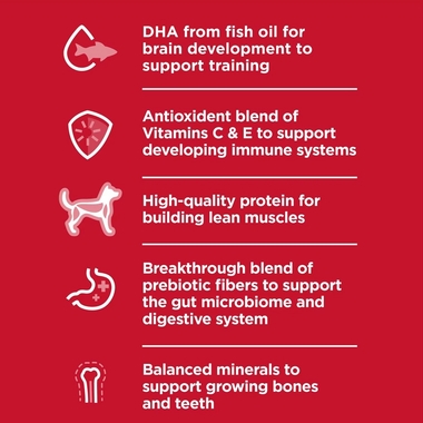 HILLS-SCIENCE-DIET-PUPPY-LGBREED-LAMB-MEAL-BROWN-RICE-DRY-DOG-FD-30LB