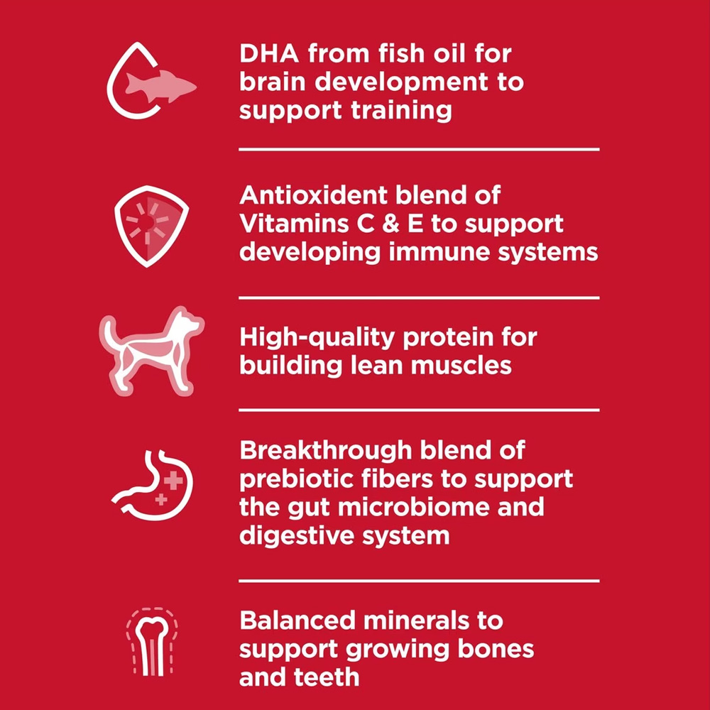 HILLS-SCIENCE-DIET-PUPPY-LGBREED-LAMB-MEAL-BROWN-RICE-DRY-DOG-FD-30LB