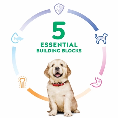 HILLS-SCIENCE-DIET-PUPPY-LGBREED-LAMB-MEAL-BROWN-RICE-DRY-DOG-FD-30LB