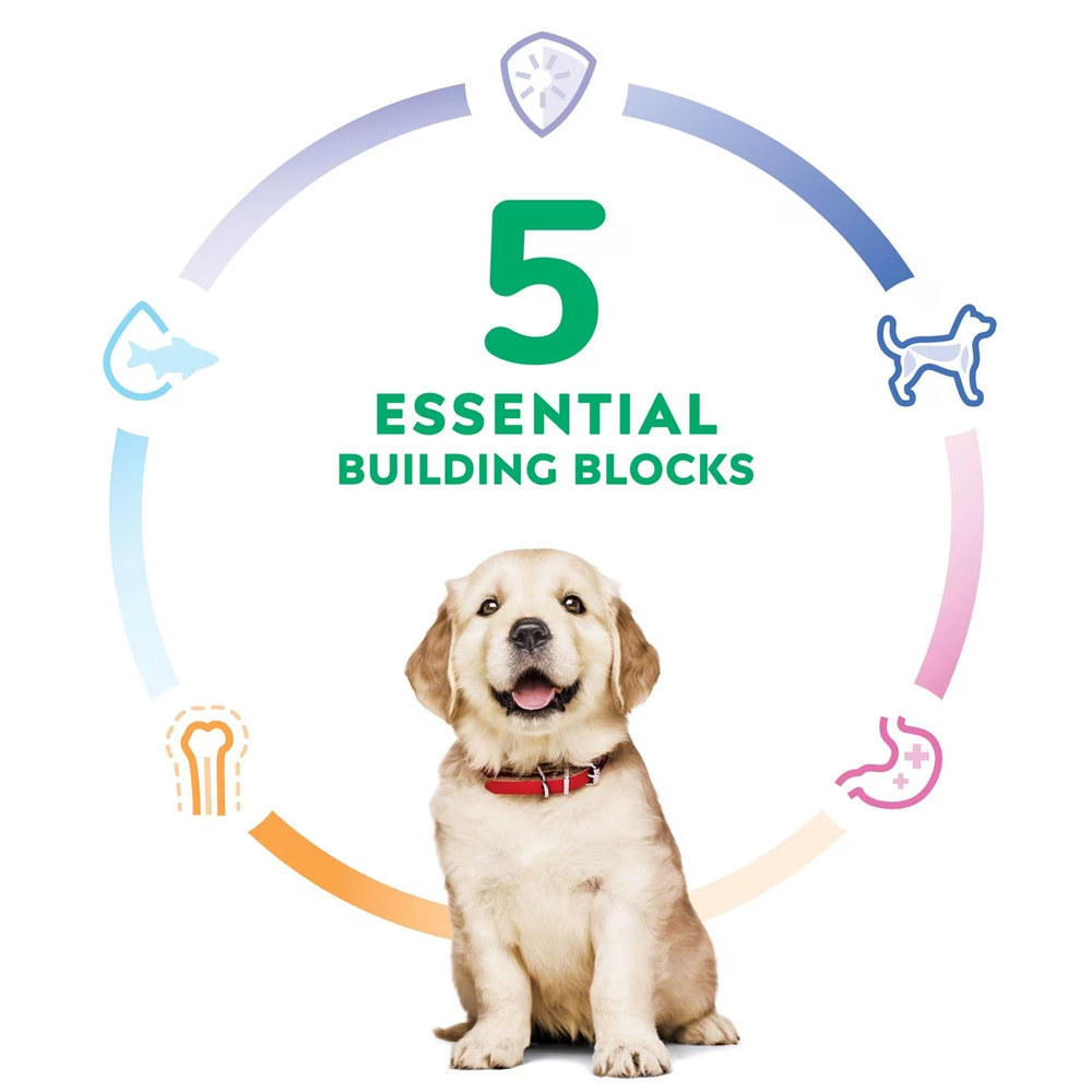 HILLS-SCIENCE-DIET-PUPPY-LGBREED-LAMB-MEAL-BROWN-RICE-DRY-DOG-FD-30LB