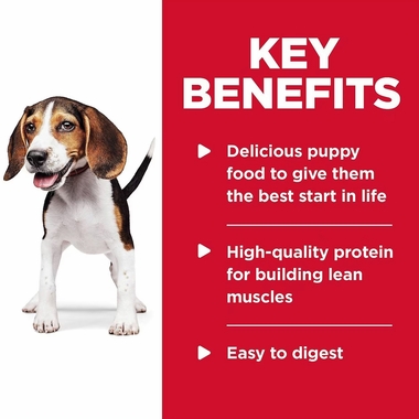 HILLS-SCIENCE-DIET-PPPY-CHCKN-VEG-CAN-DOG-FD-12OZX12