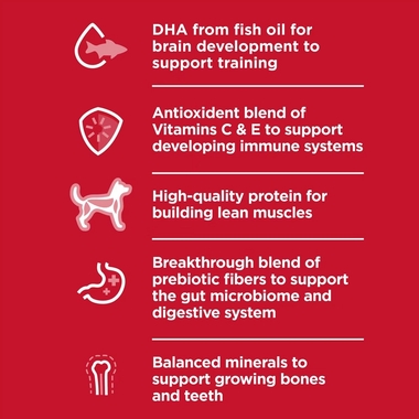 HILLS-SCIENCE-DIET-PUPPY-SMBITES-CHICKEN-BROWN-RICE-DRY-DOG-FD-12LB