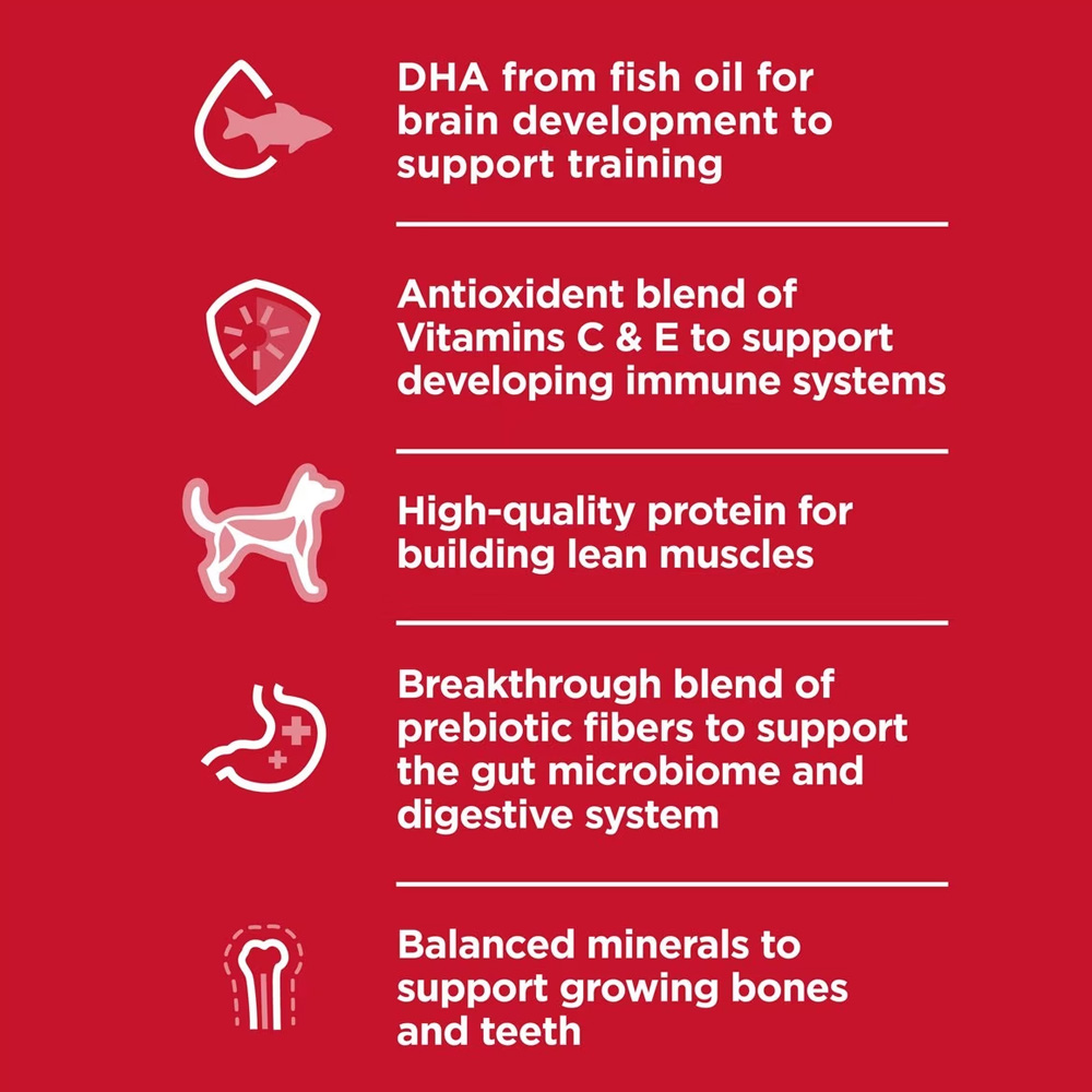 HILLS-SCIENCE-DIET-PUPPY-SMBITES-CHICKEN-BROWN-RICE-DRY-DOG-FD-12LB