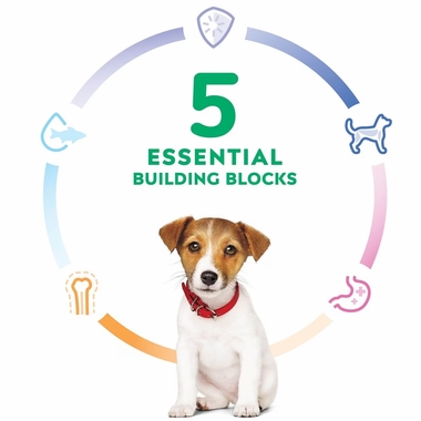 HILLS-SCIENCE-DIET-PUPPY-SMBITES-CHICKEN-BROWN-RICE-DRY-DOG-FD-12LB