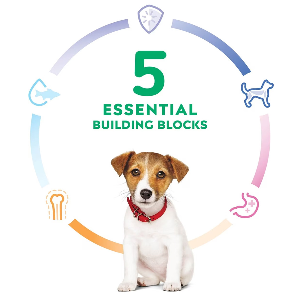 HILLS-SCIENCE-DIET-PUPPY-SMBITES-CHICKEN-BROWN-RICE-DRY-DOG-FD-12LB