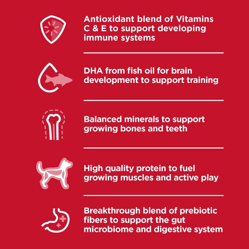 HILLS-SCIENCE-DIET-PUPPY-SM-MINI-CHICKEN-BROWN-RICE-DRY-DG-FD-4LB