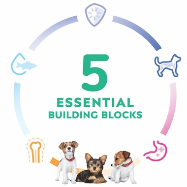 HILLS-SCIENCE-DIET-PUPPY-SM-MINI-CHICKEN-BROWN-RICE-DRY-DG-FD-4LB