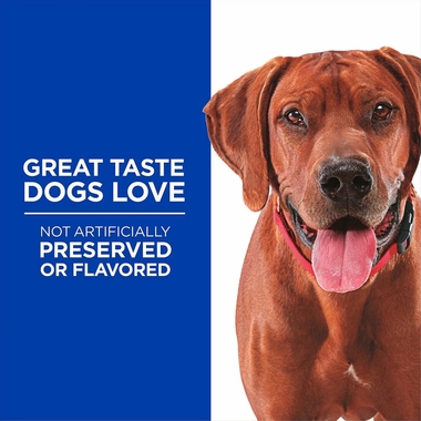 HILLS-SOFT-BAKED-DUCK-PUMPKIN-DOG-TREATS-8OZ