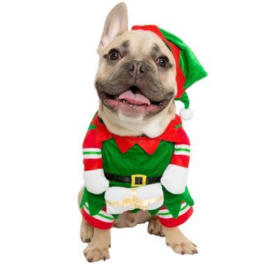 HOLIDAY-COSTUMES