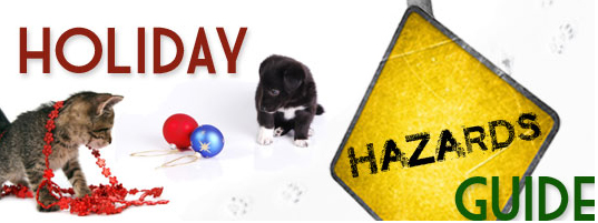 Holiday Hazards Guide