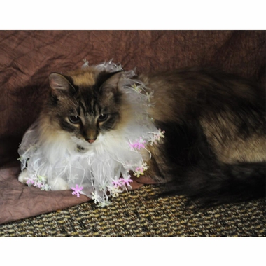 PARTYCOLLARSNOWFLAKE10