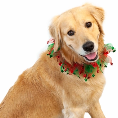 PARTY-COLLAR-XMAS-STARS-XSMALL