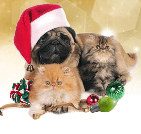 Holiday Pet Toys