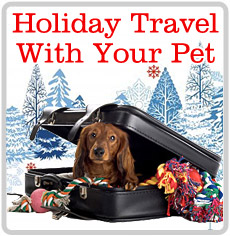 Holiday Traveling with your Pets