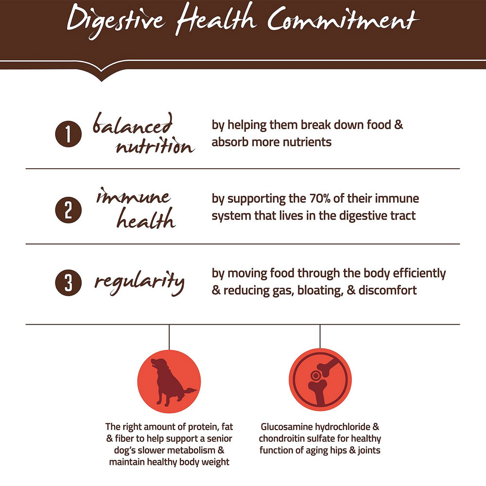 Holistic Select Senior Health Chicken Meal & Lentils Recipe Dry Dog